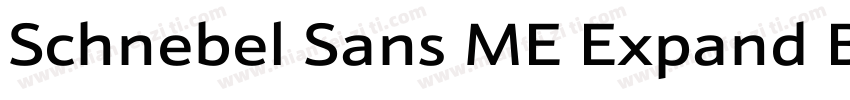 Schnebel Sans ME Expand Black Itali字体转换